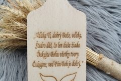 IMG_20231121_140106