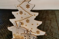 IMG_20211127_131221