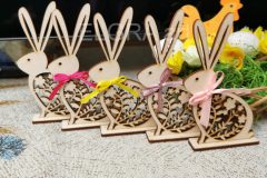 IMG_20240219_165152