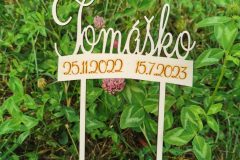 IMG_20230713_174647